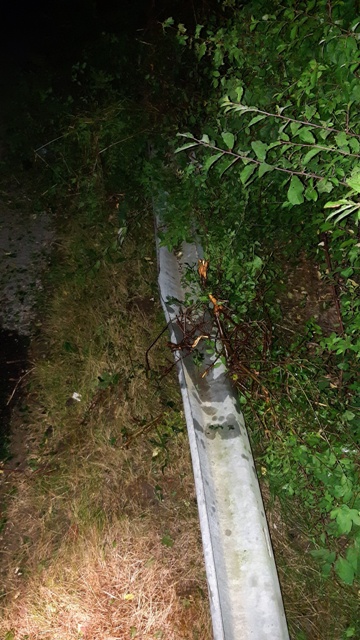 20220702_015148_resized groß.jpg